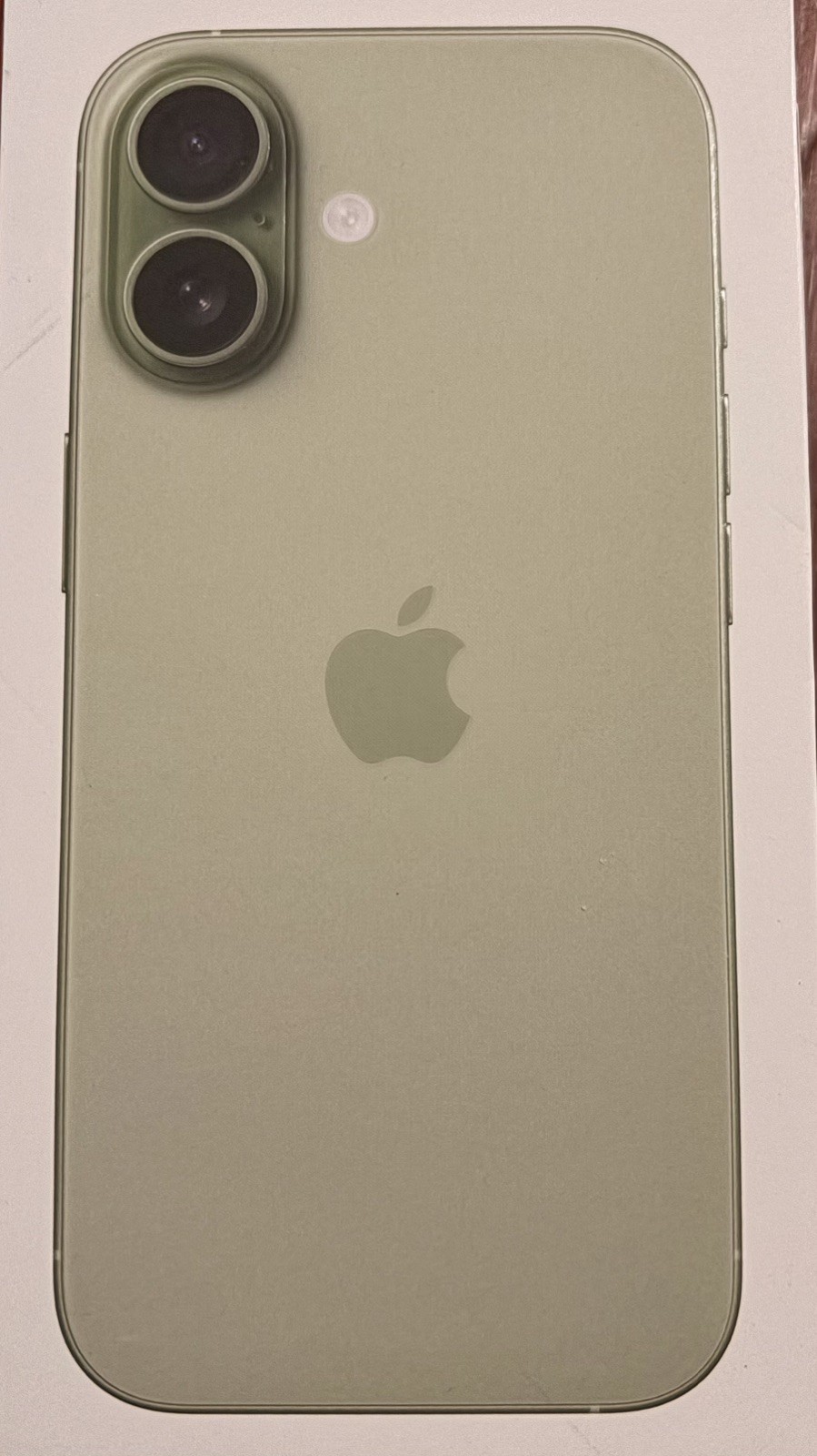 Apple iPhone 17 – 256 GB – Sage Green (AT&T) NEW IN BOX