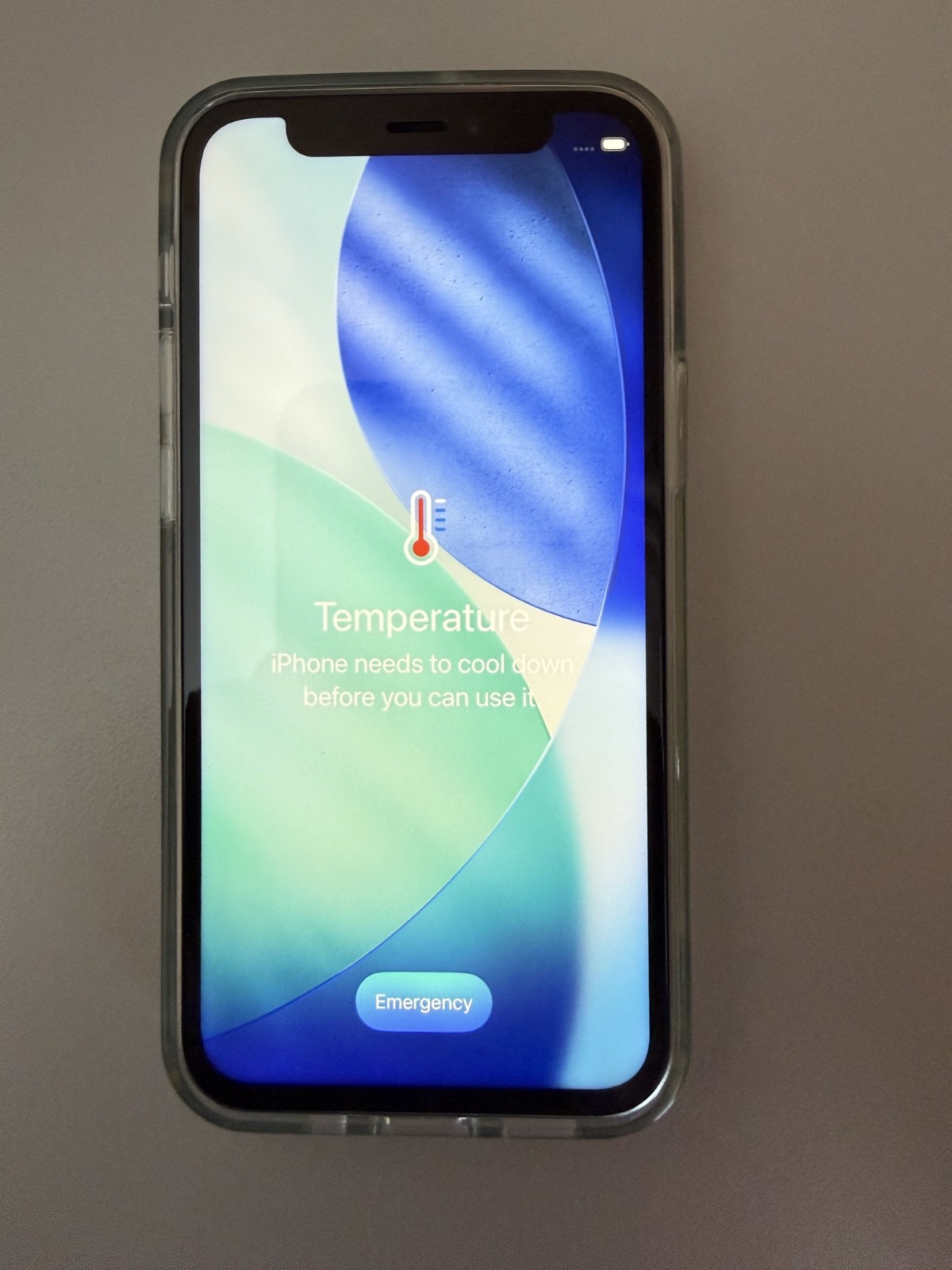 Apple iPhone 12 Mini 64GB Unlocked – Battery 100% – No Face ID – *Temp Problem*