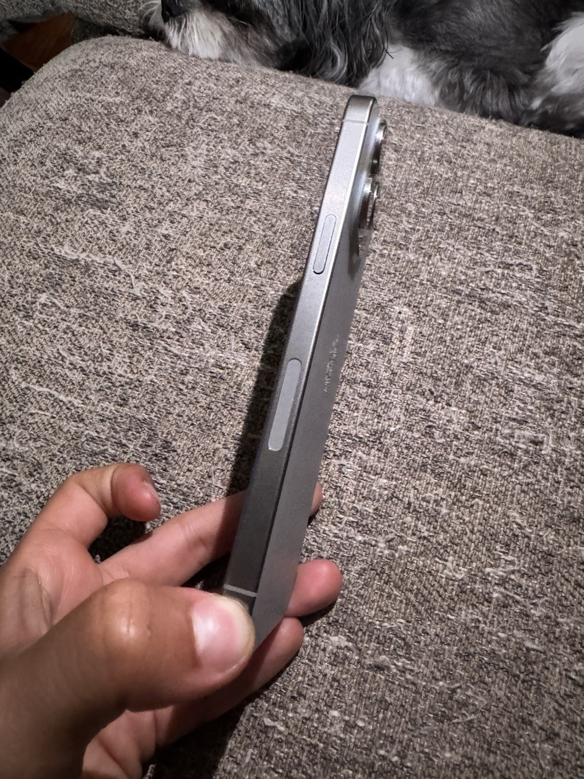 Apple iPhone 15 Pro Max 256GB Silver 6.5in Factory Unlocked (Used)