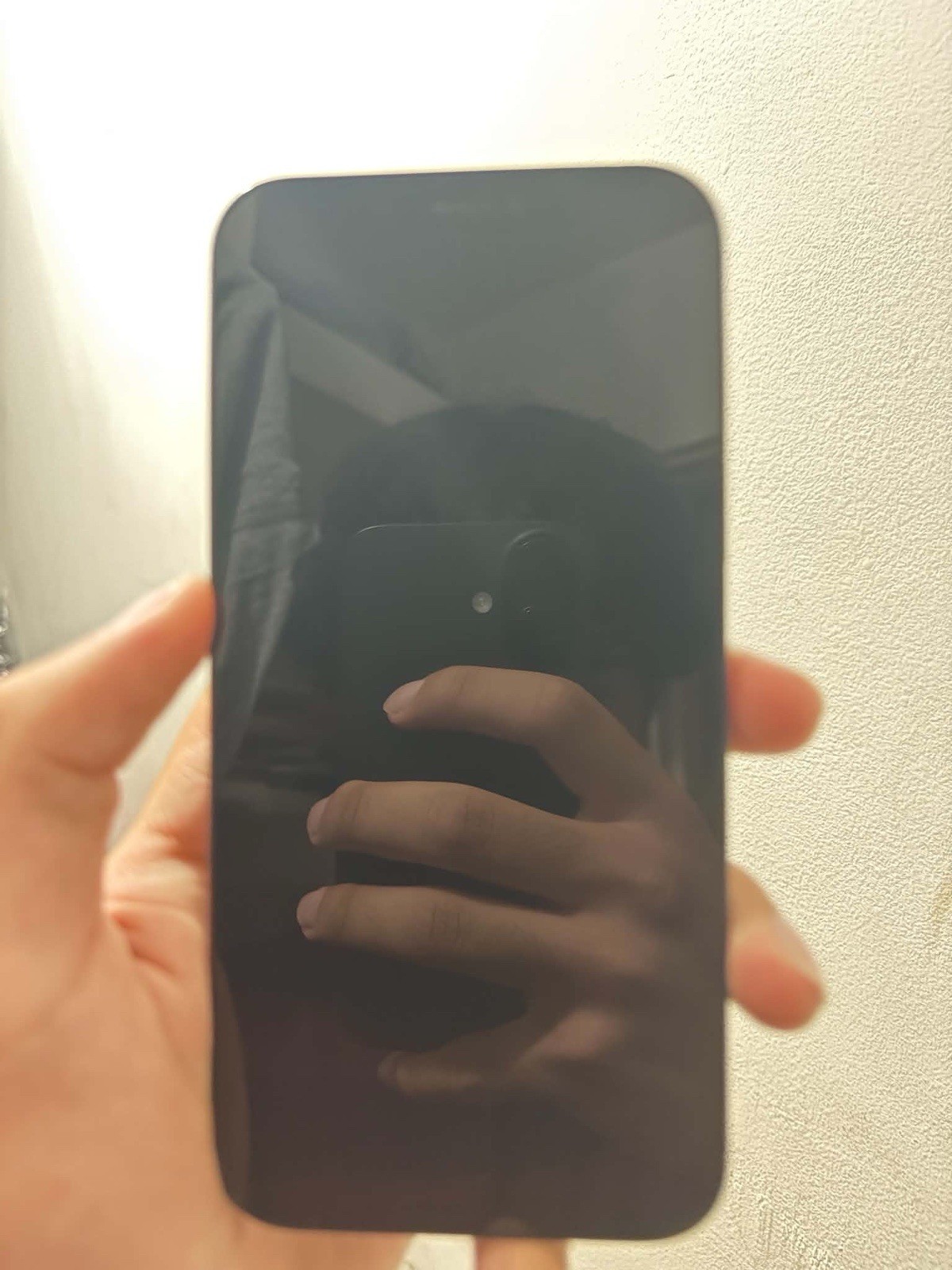 Apple iPhone 12 128GB Unlocked – Face ID Works – Read Description
