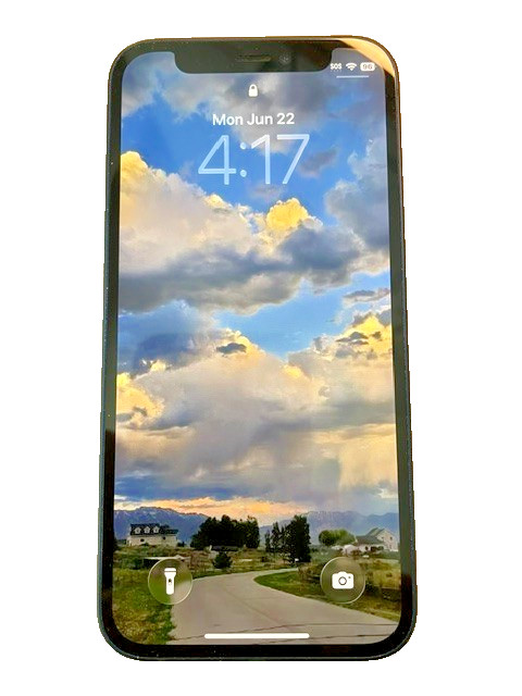 Apple iPhone 12 mini – 128 GB – Blue (Unlocked) READ