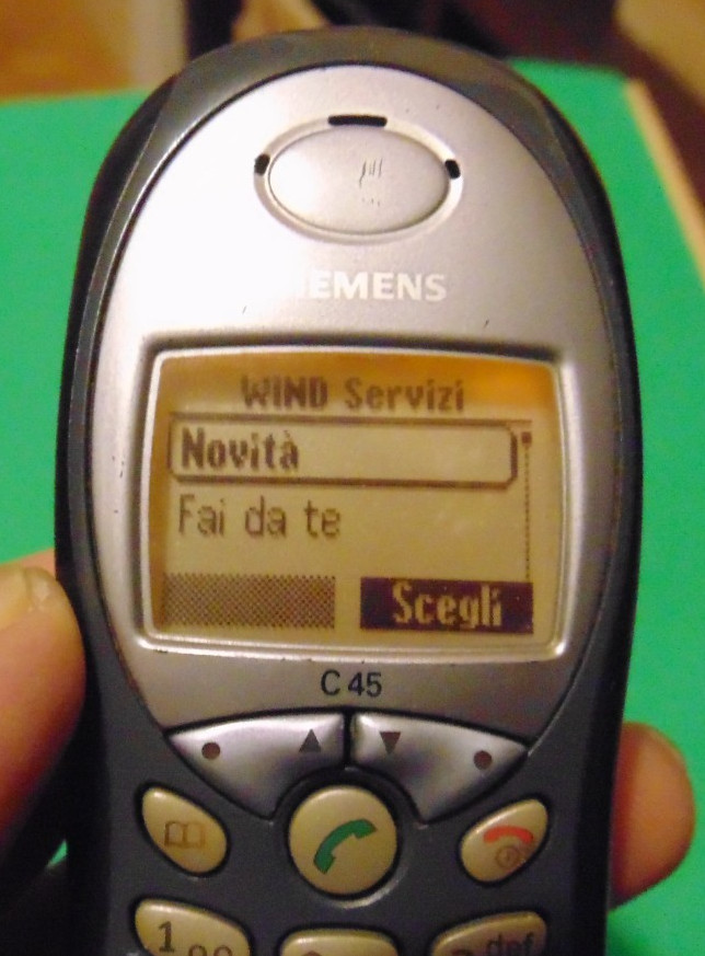 SIEMENS C45 – WORKING