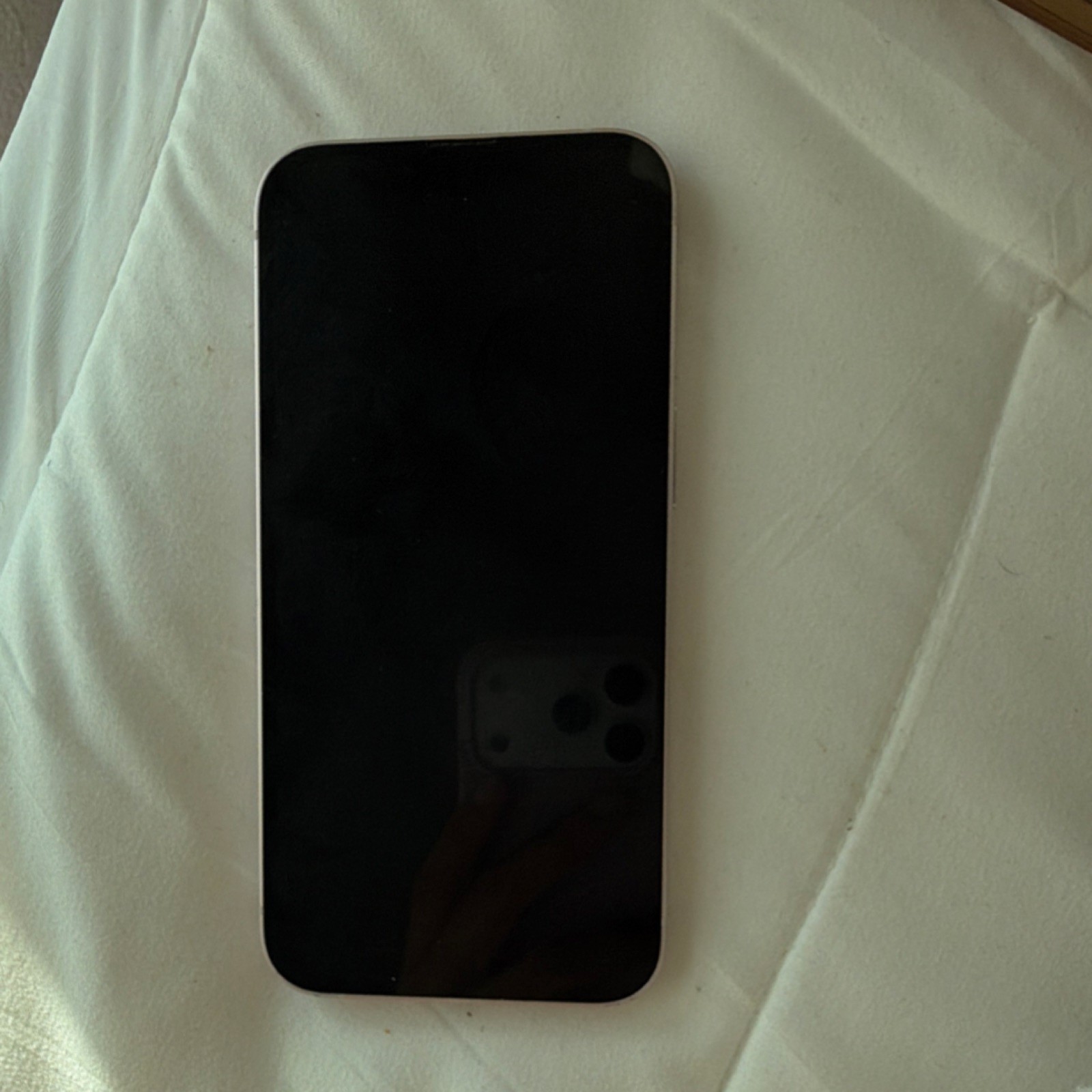 Apple White Smartphone with Dual Rear Cameras
