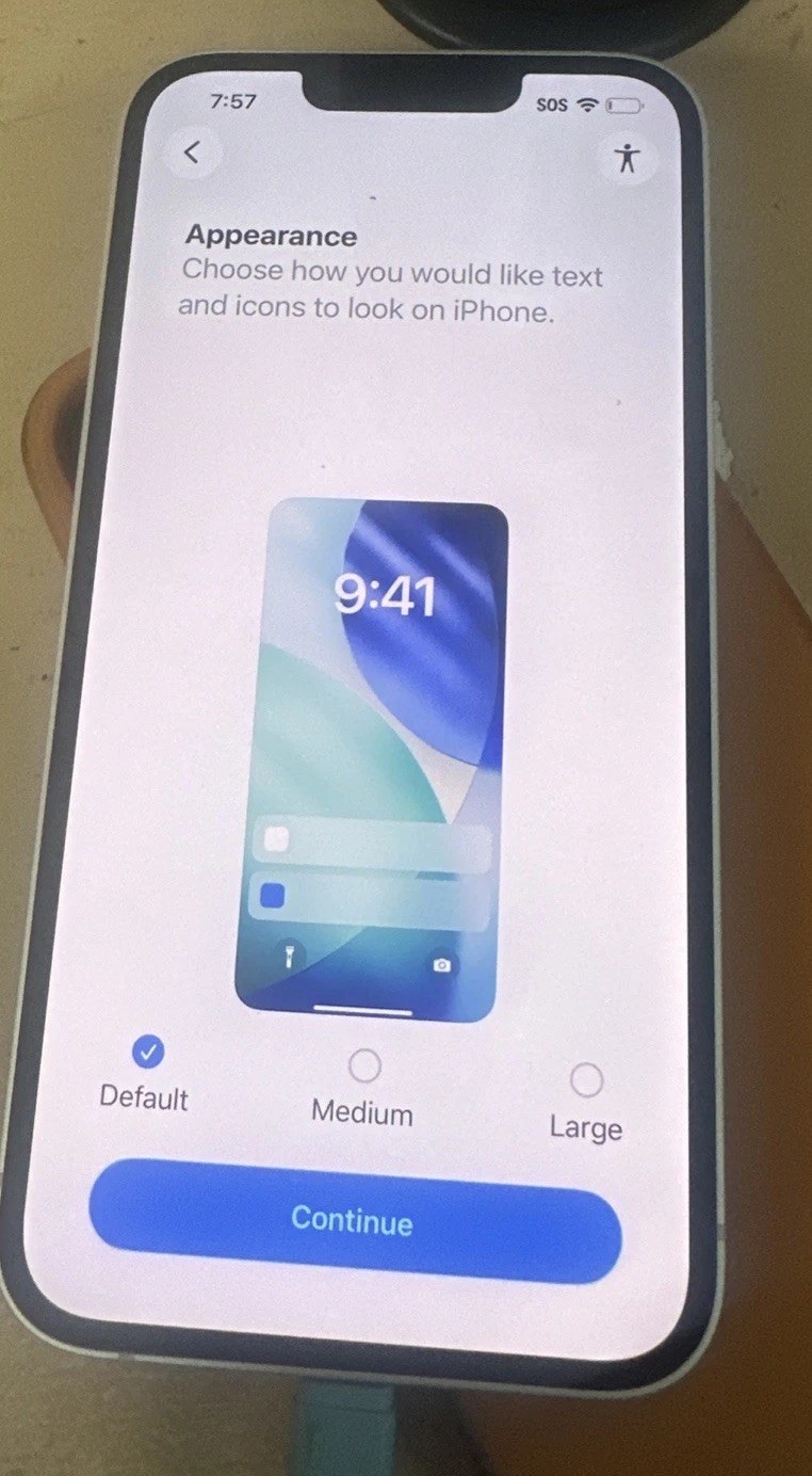 Apple iPhone 17e White 256GB Unlocked Factory Reset 100% Battery EUC