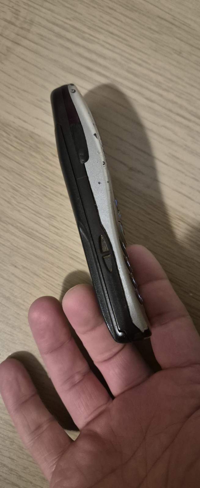 Nokia 6310i