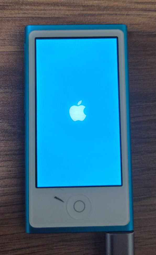 Bundle 2x Apple iPod Nano 7th Gen 16GB A1446 (Blue and gray) fully working