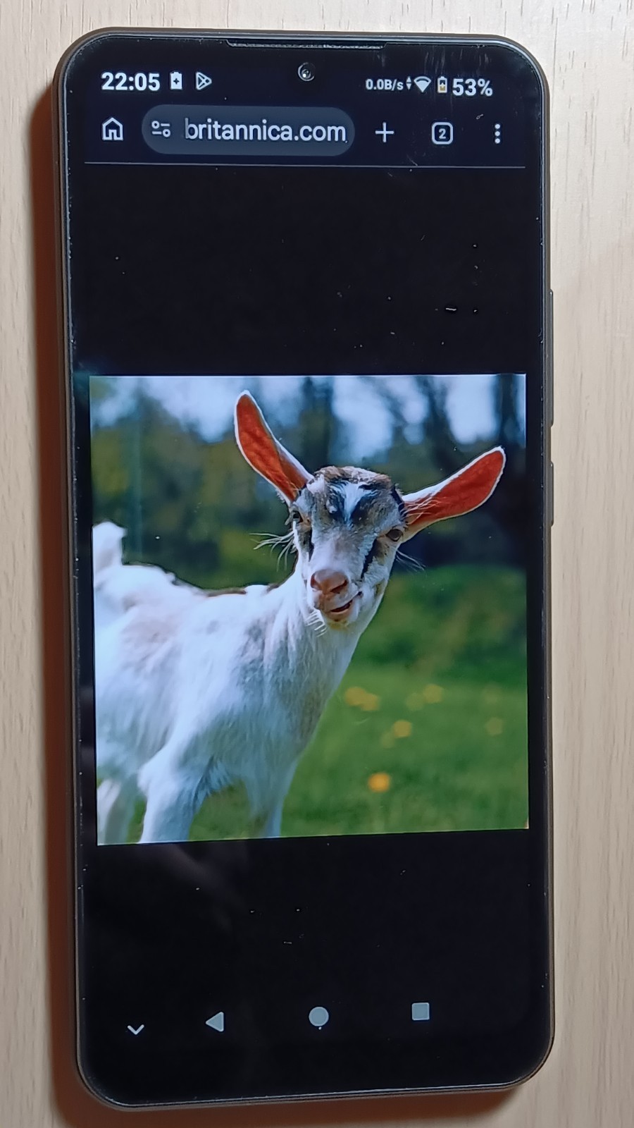 VORTEX CB68 SMARTPHONE, 6.8″ DISPLAY, ANDROID 14, 16Gb ROM 3 Gb RAM, LOCKED