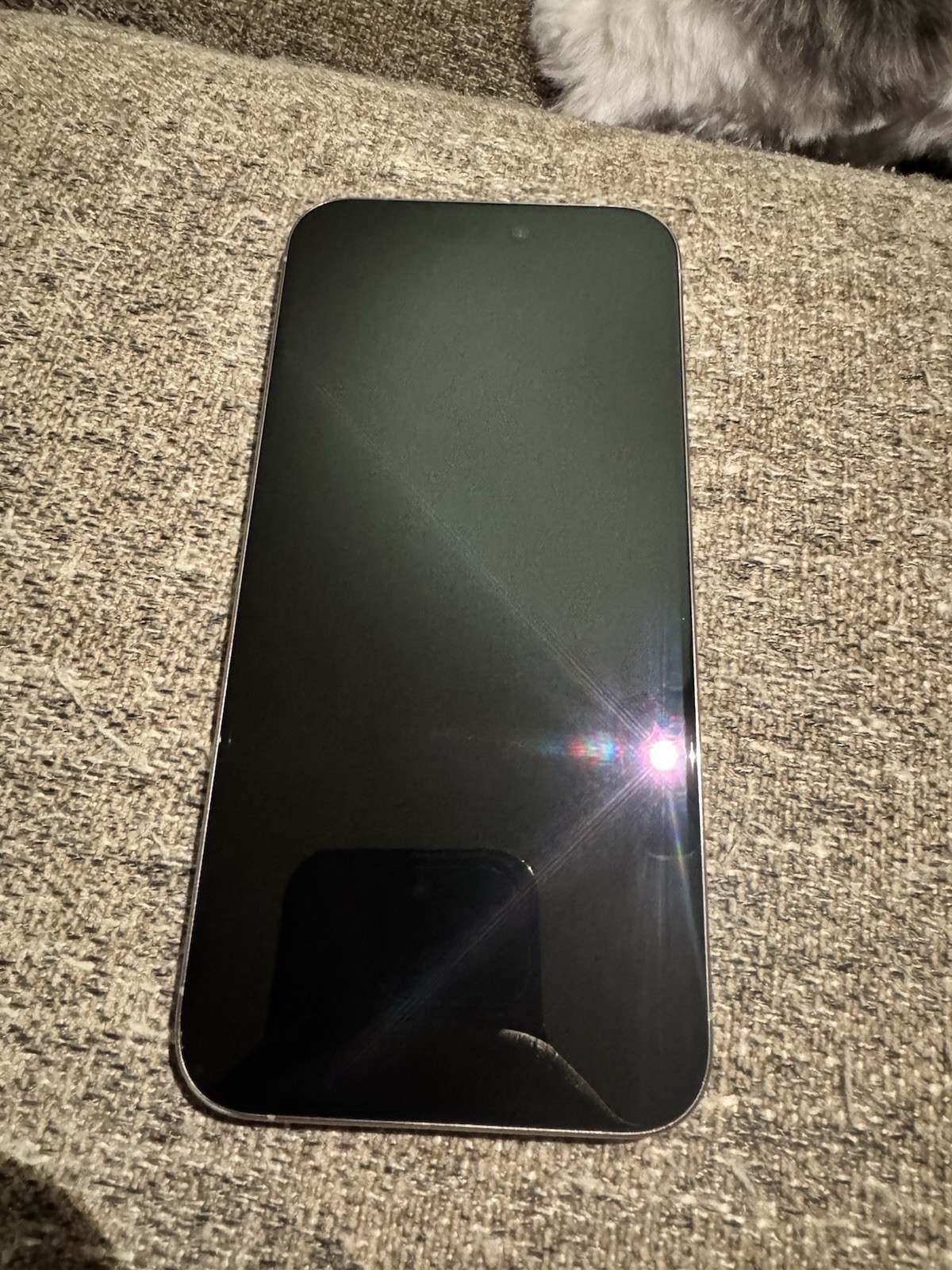 Apple iPhone 15 Pro Max 256GB Silver 6.5in Factory Unlocked (Used)
