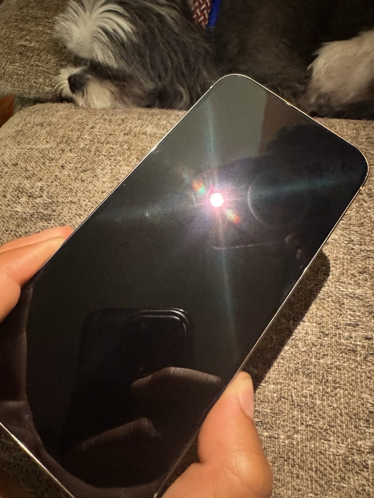 Apple iPhone 15 Pro Max 256GB Silver 6.5in Factory Unlocked (Used)