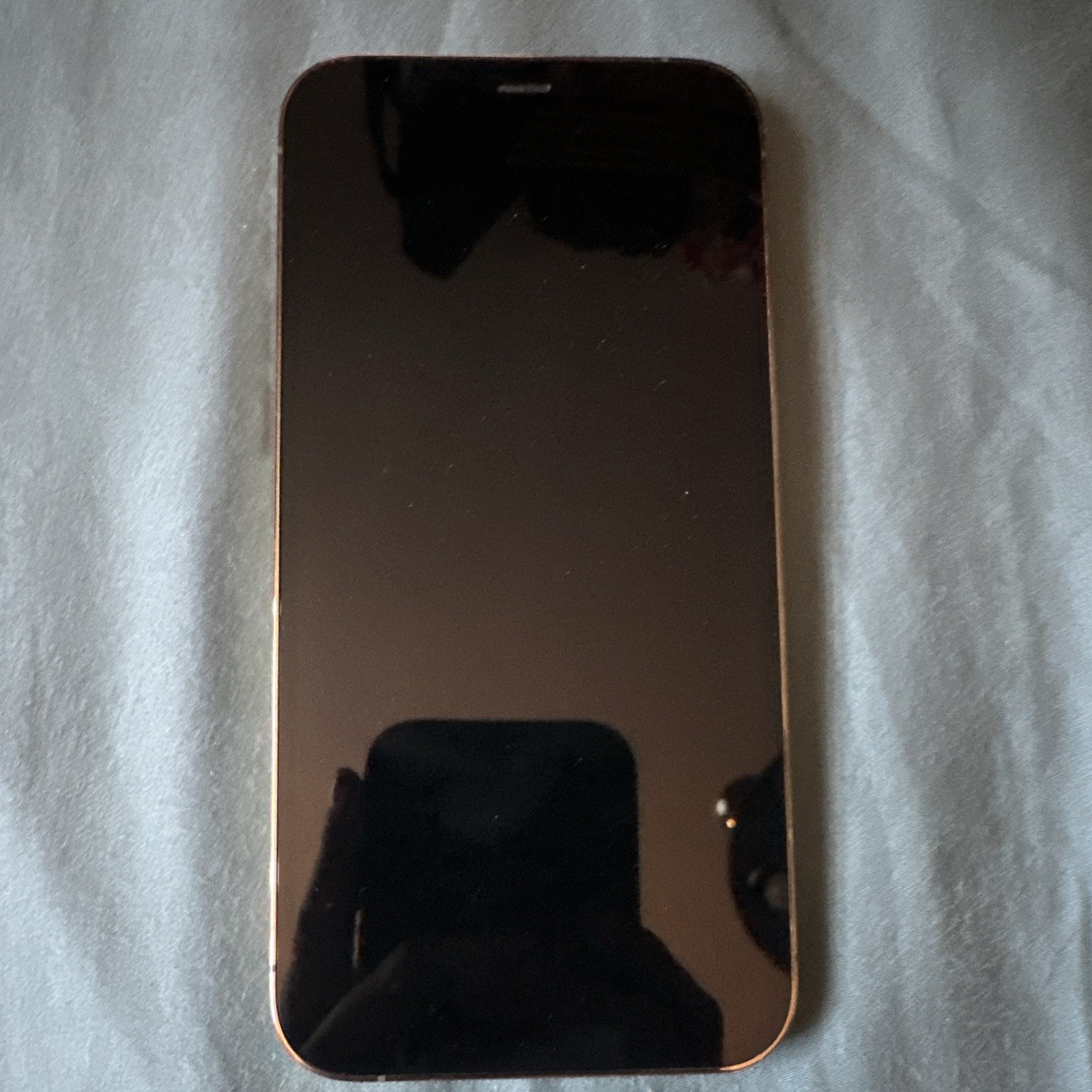 Apple iPhone 12 Pro Gold Slate Style Smartphone iOS 12MP Rear Camera