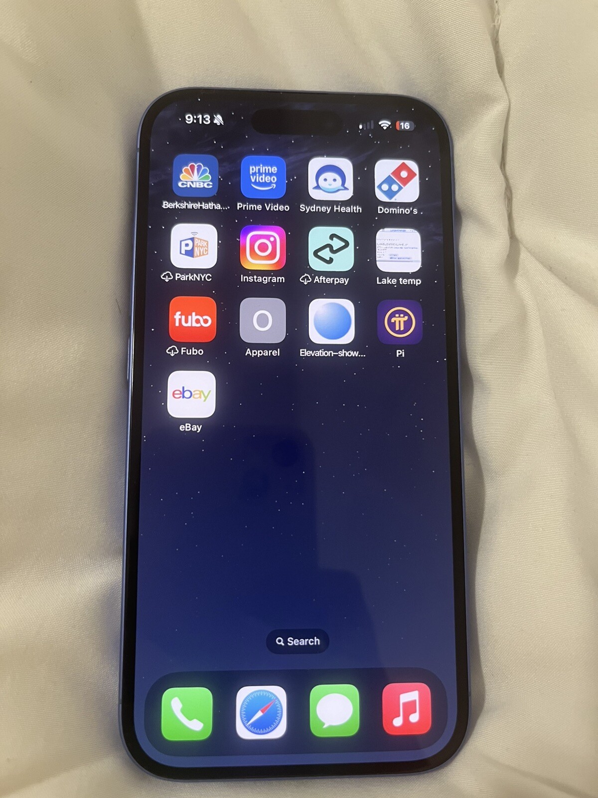 iPhone 16 With TikTok Installed