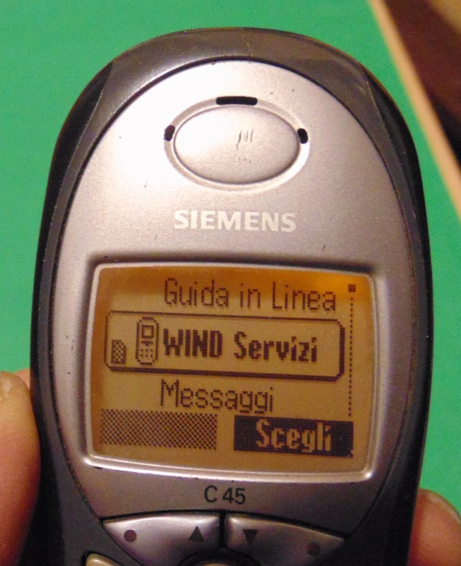 SIEMENS C45 – WORKING