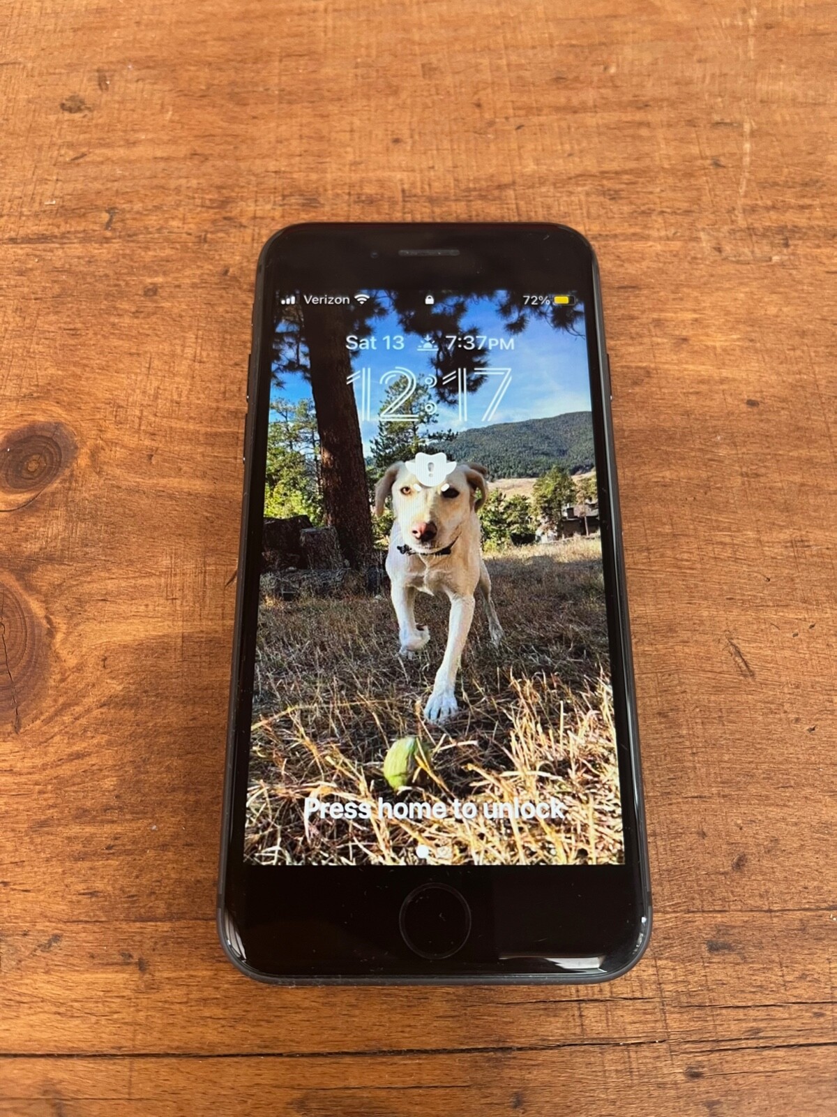 Apple iPhone 8 – 256GB – Space Gray (Unlocked) A1863 (CDMA + GSM)