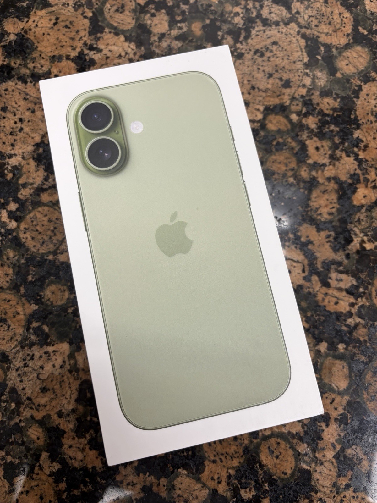 SAGE GREEN SEALED ! New Apple iPhone 17 A3258 256GB MG4A4LL/A USA T-Mobile LTE