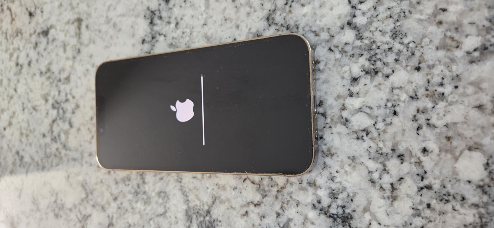 Apple iPhone 13 Pro Max – 256 GB – Beige *Tested* (Unlocked)