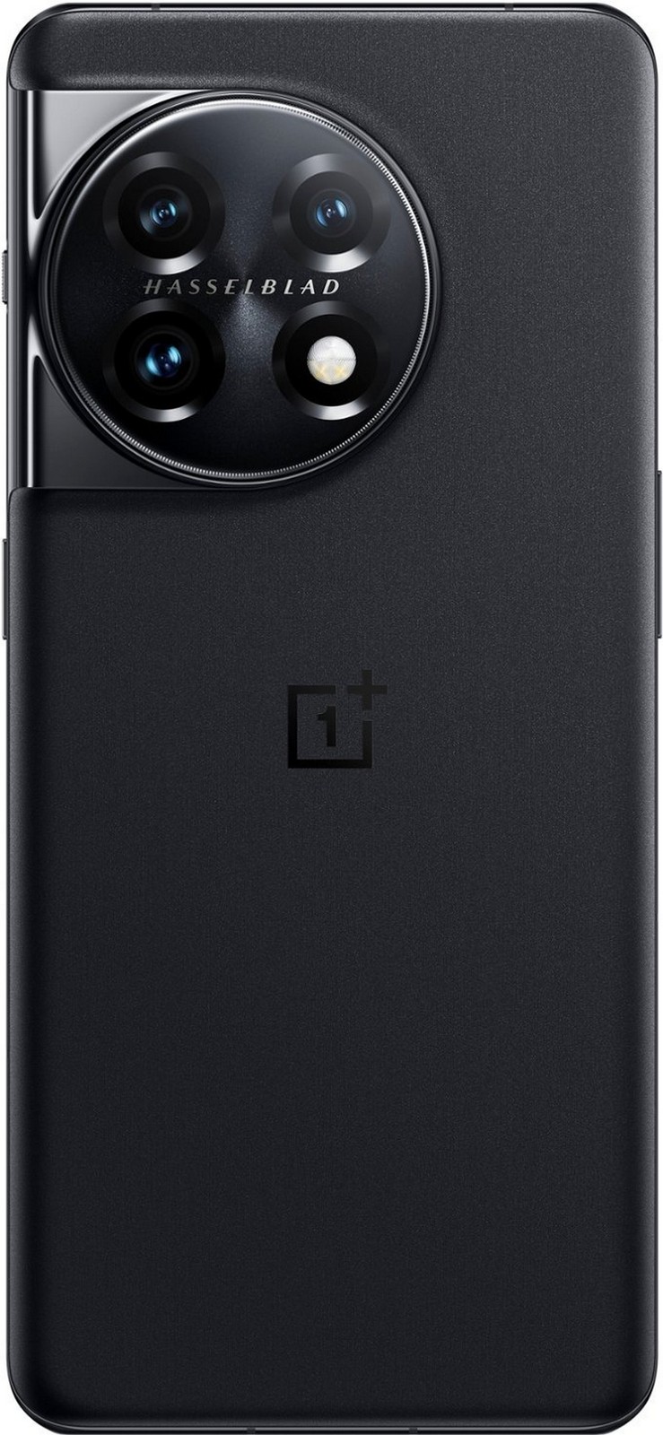 B7
