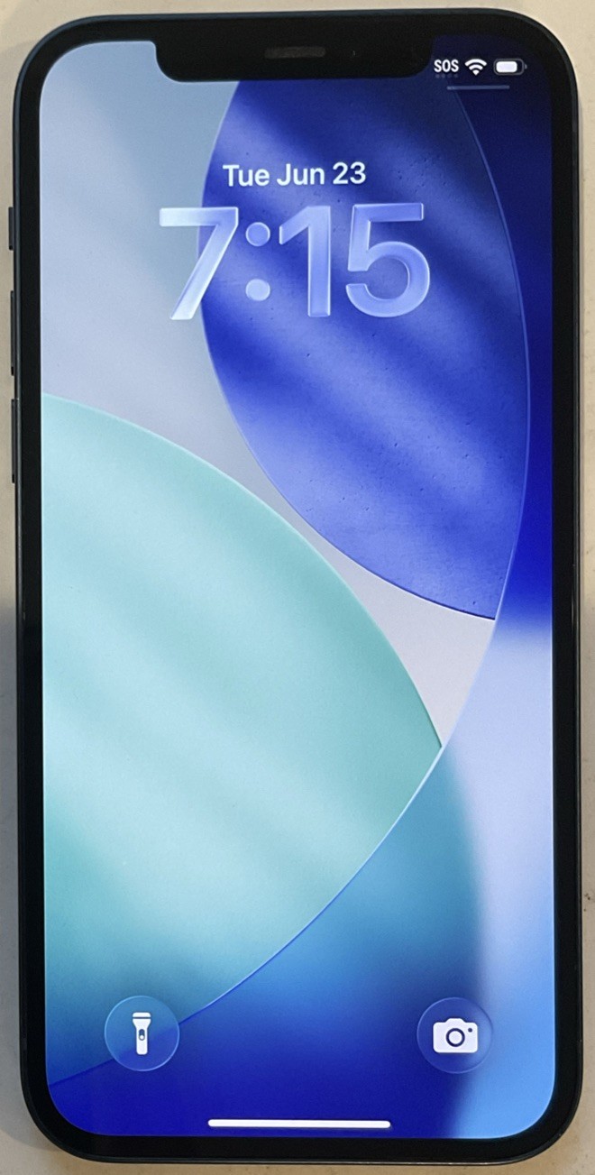 USED BLUE GSM UNLOCKED iPhone 12, 64GB A2172 MGEK3LL/A WITH 99% BATTERY HEALTH