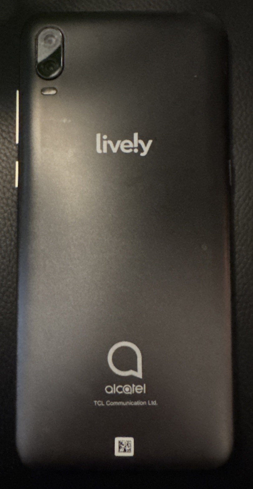 Jitterbug Lively Smart3 (Unknown) 32 GB Gray Good Used Fast Ship Battery Issue