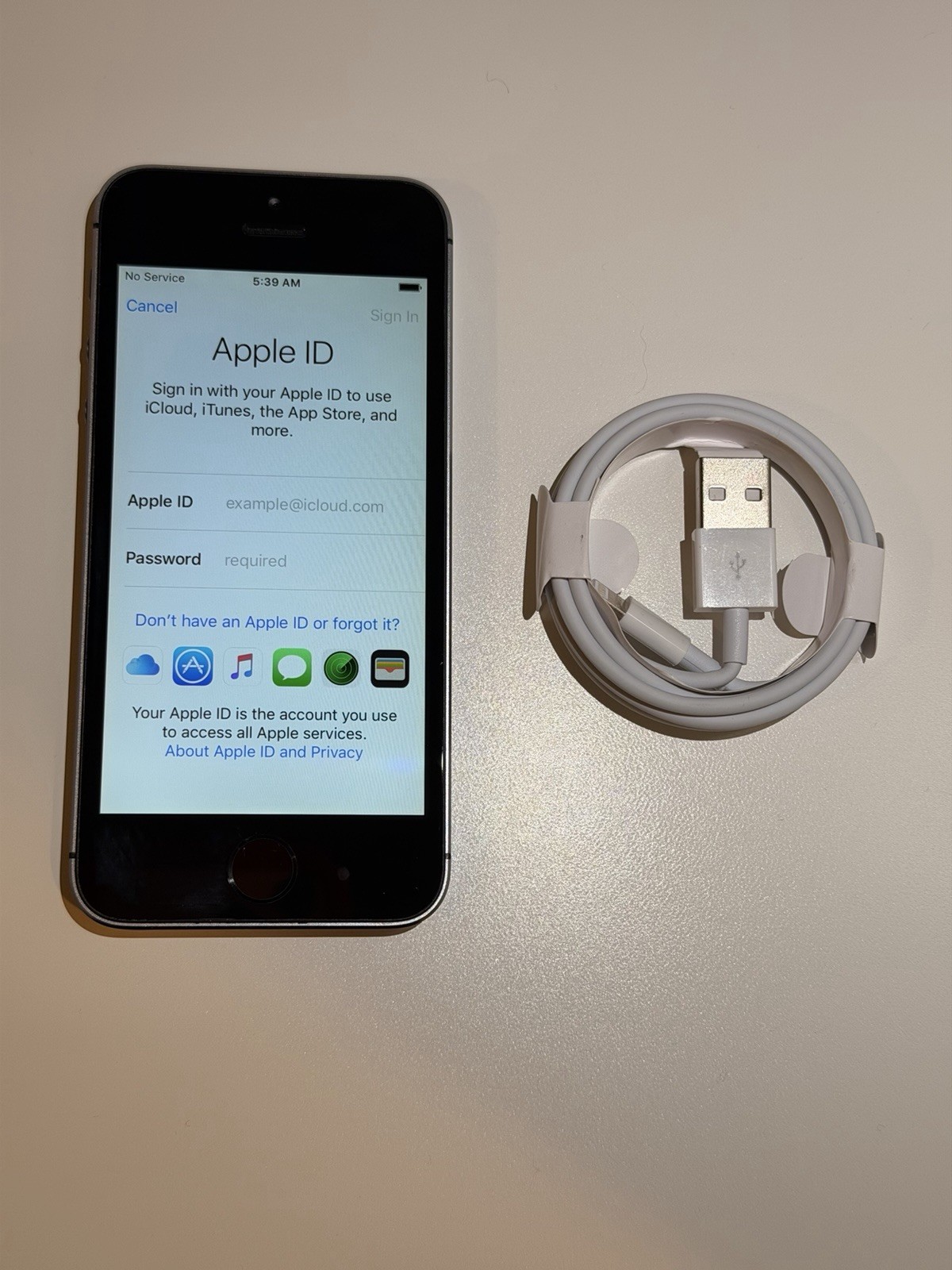 iPhone 5s – Space Gray- iOS 10