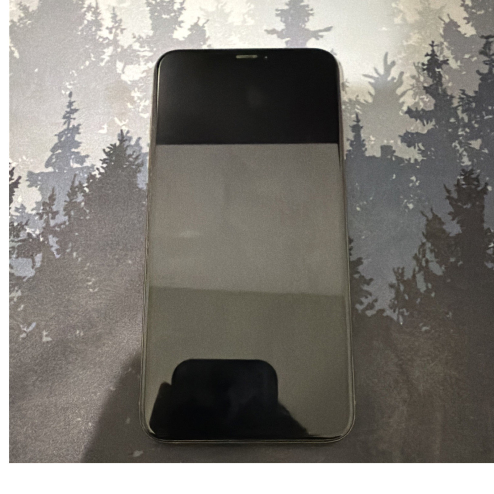 Iphone XS Max 256gb Unlocked