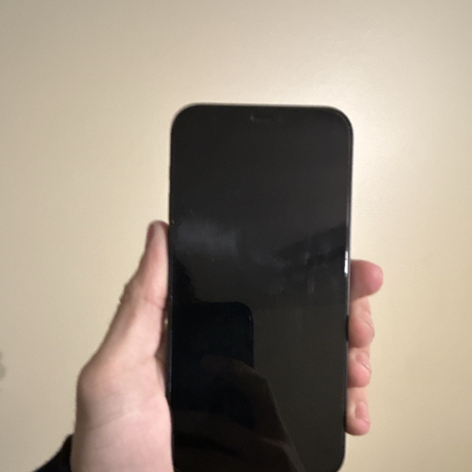 Apple Black Smartphone Bar Style Dual Rear Cameras